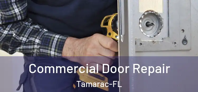 Commercial Door Repair Tamarac-FL