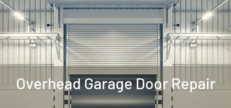  Overhead Garage Door Repair 