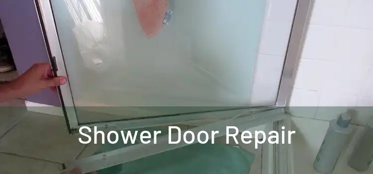 Shower Door Repair